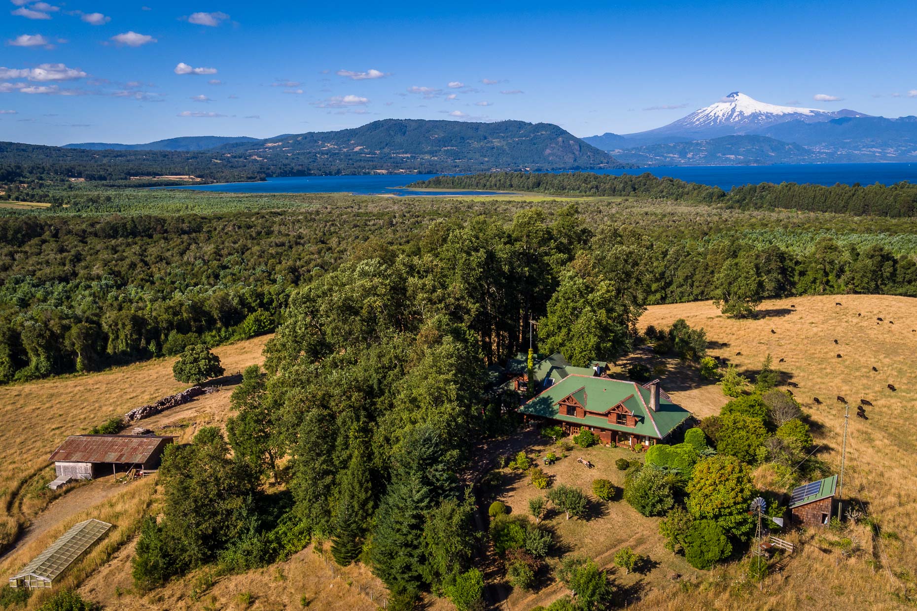 Chile_Papageno_in_Paradise_0002