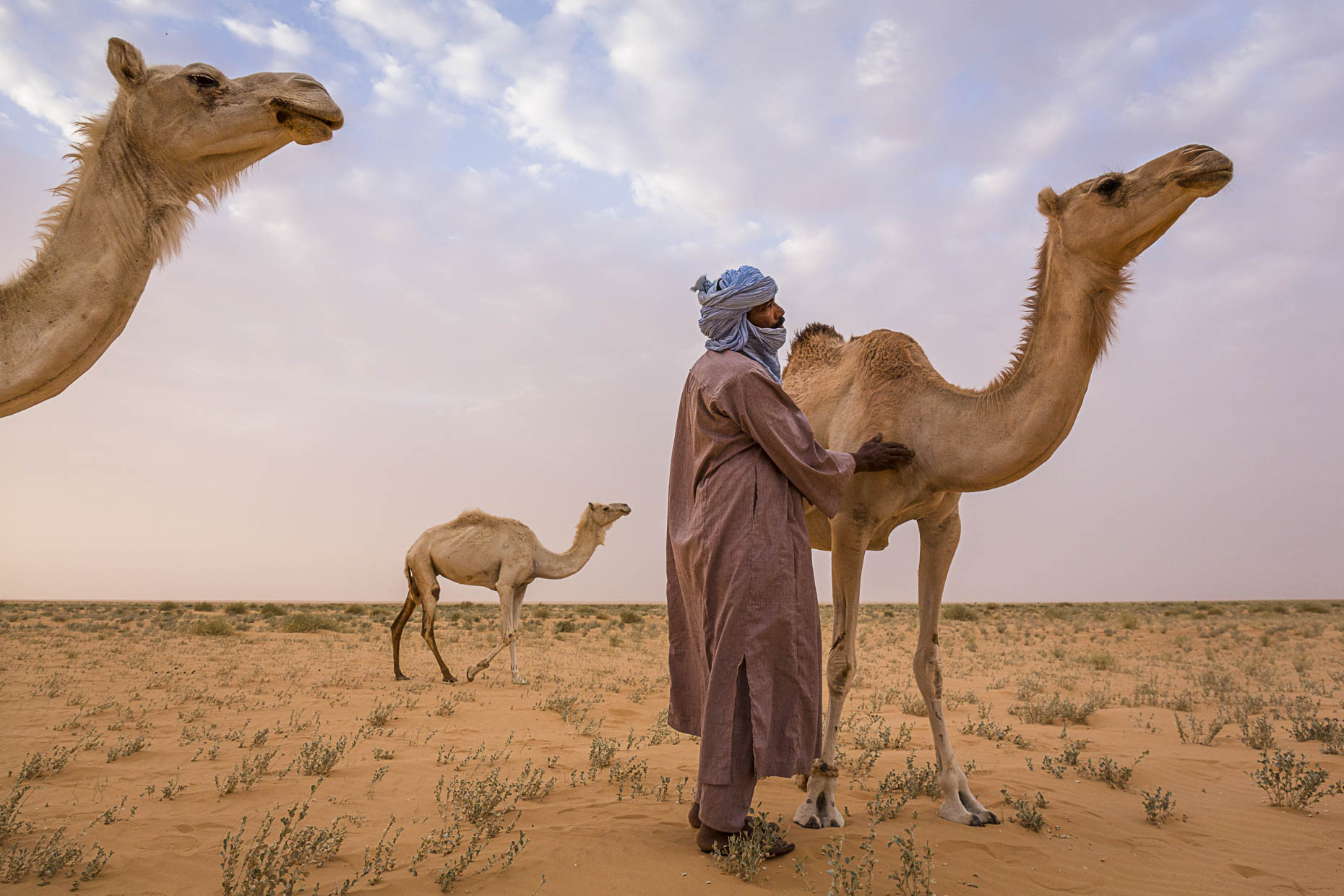 Niger_Liman_Feltou_Tuareg_004